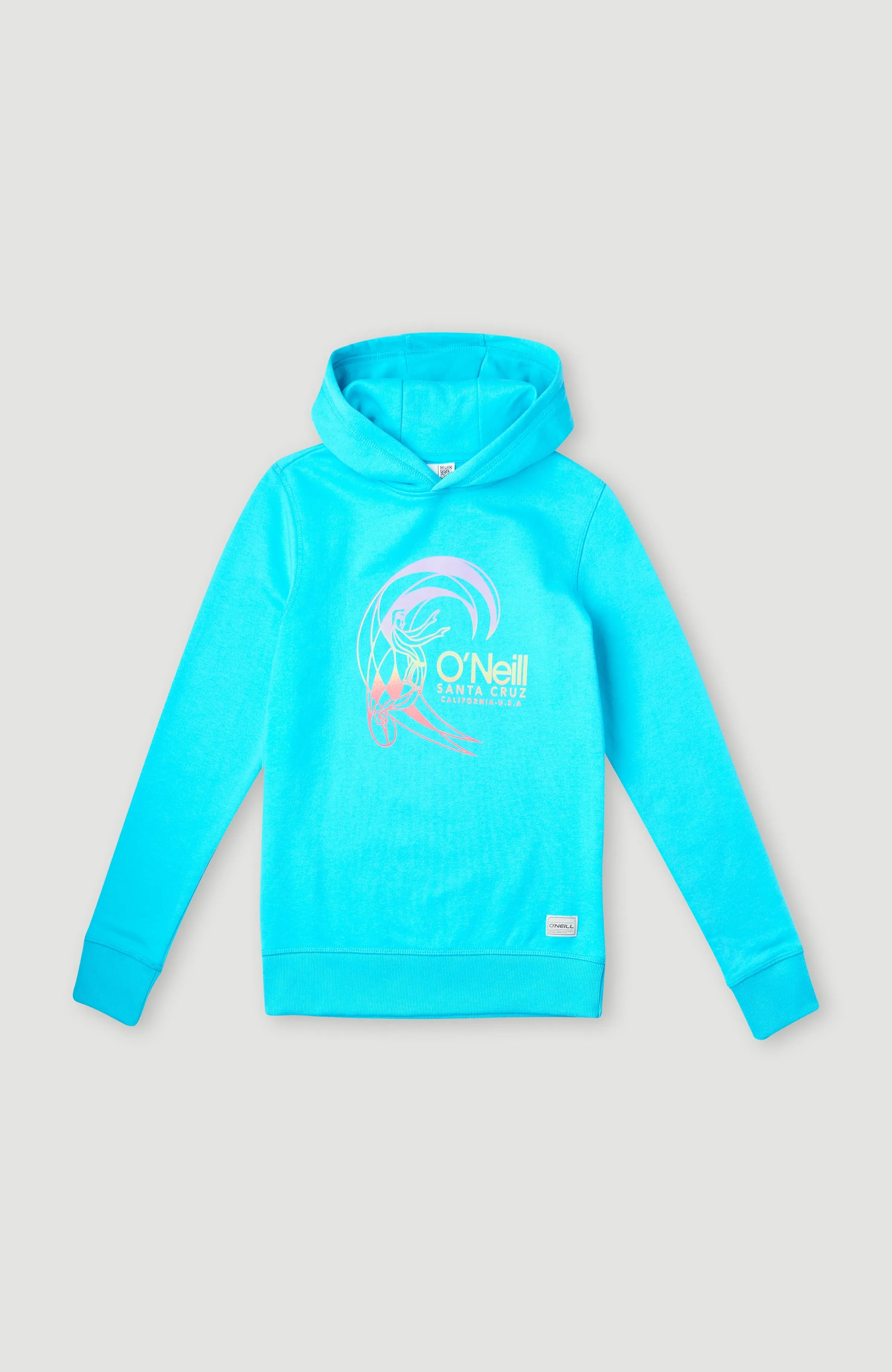 Circle Surfer Hoodie | Bachelor Button