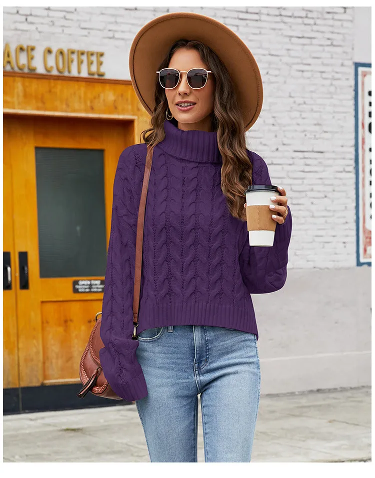 IvyShape | Chunky Knit Turtleneck Casual Sweater