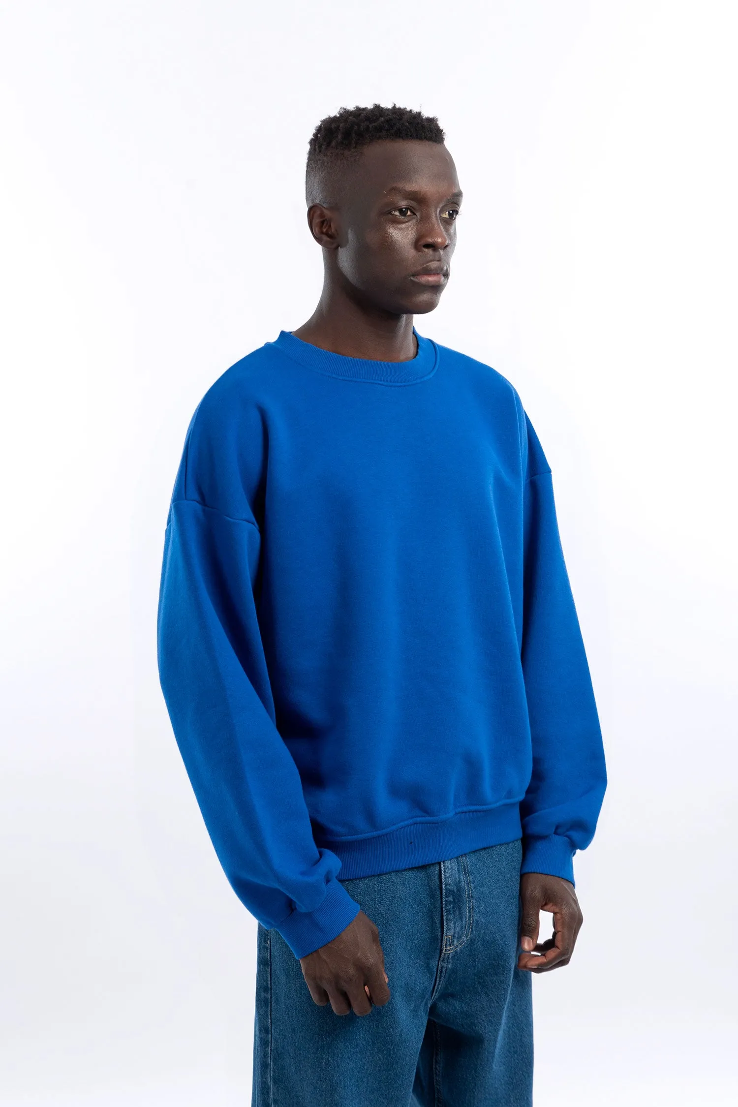 Men Basic Crewneck Sweatshirt - Mitcha Label