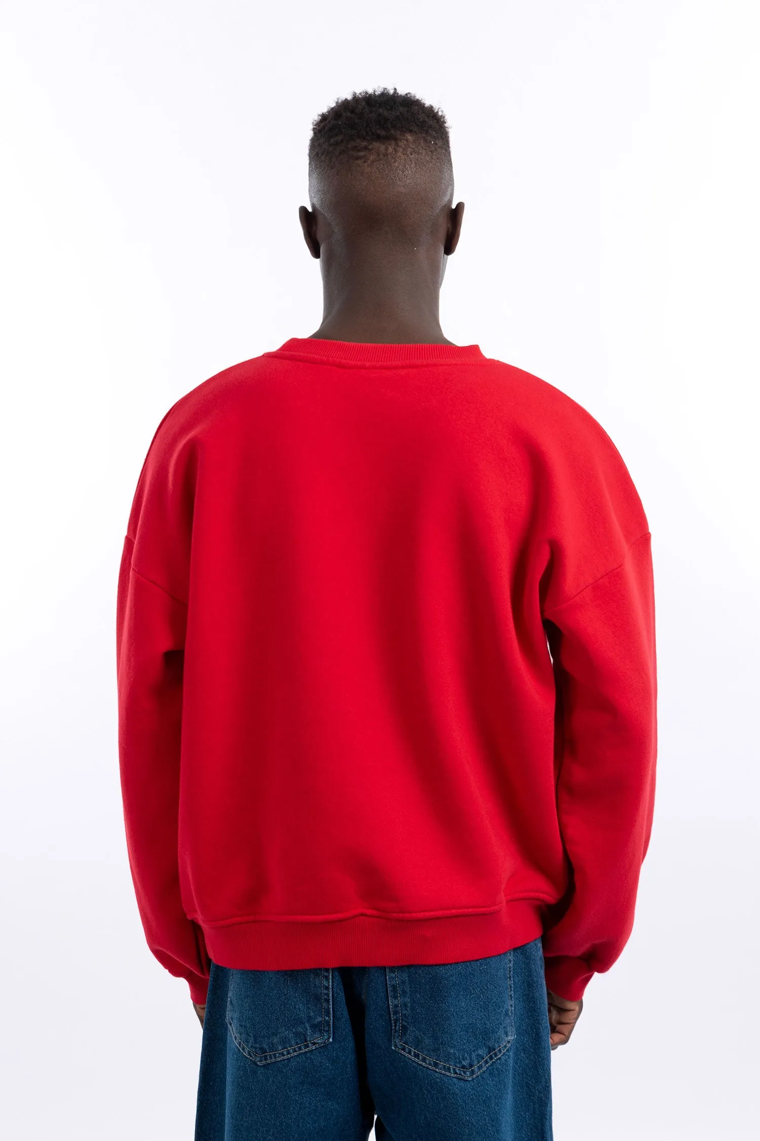 Men Basic Crewneck Sweatshirt - Mitcha Label